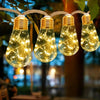 String lights with warm yellow bulbs hanging from a rope, illuminating foliage in the evening.