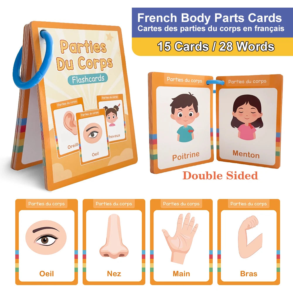 French Vocabulary Flashcards for Kids - Food, Animals, Fruits & Body Parts