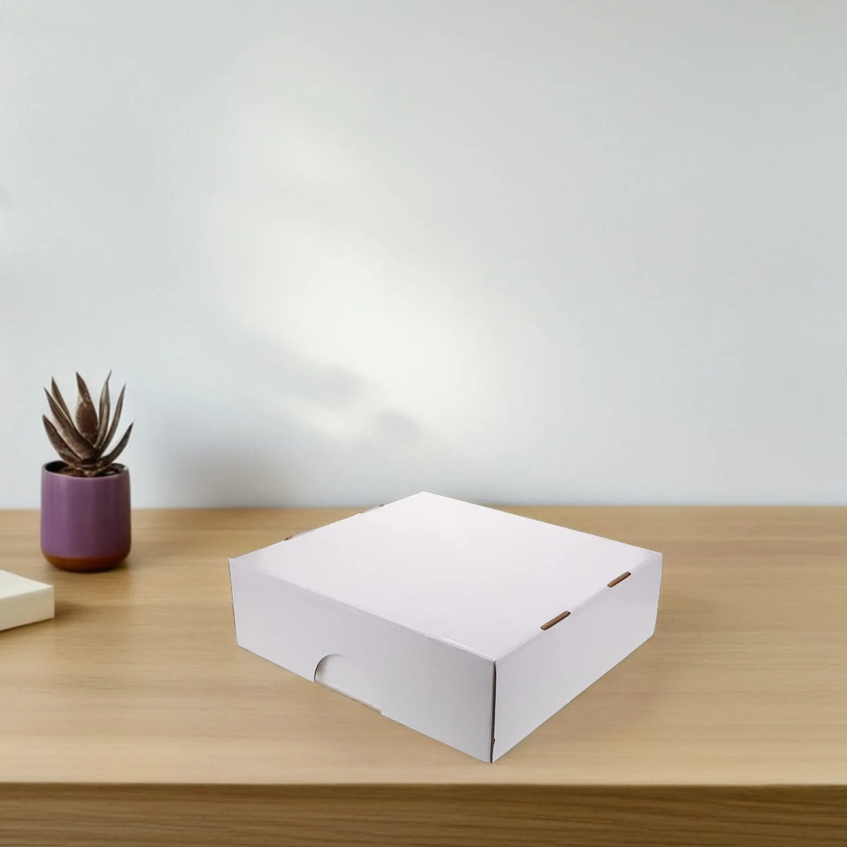 A white, rectangular foldable storage box is placed on a light wooden surface next to a small potted succulent.