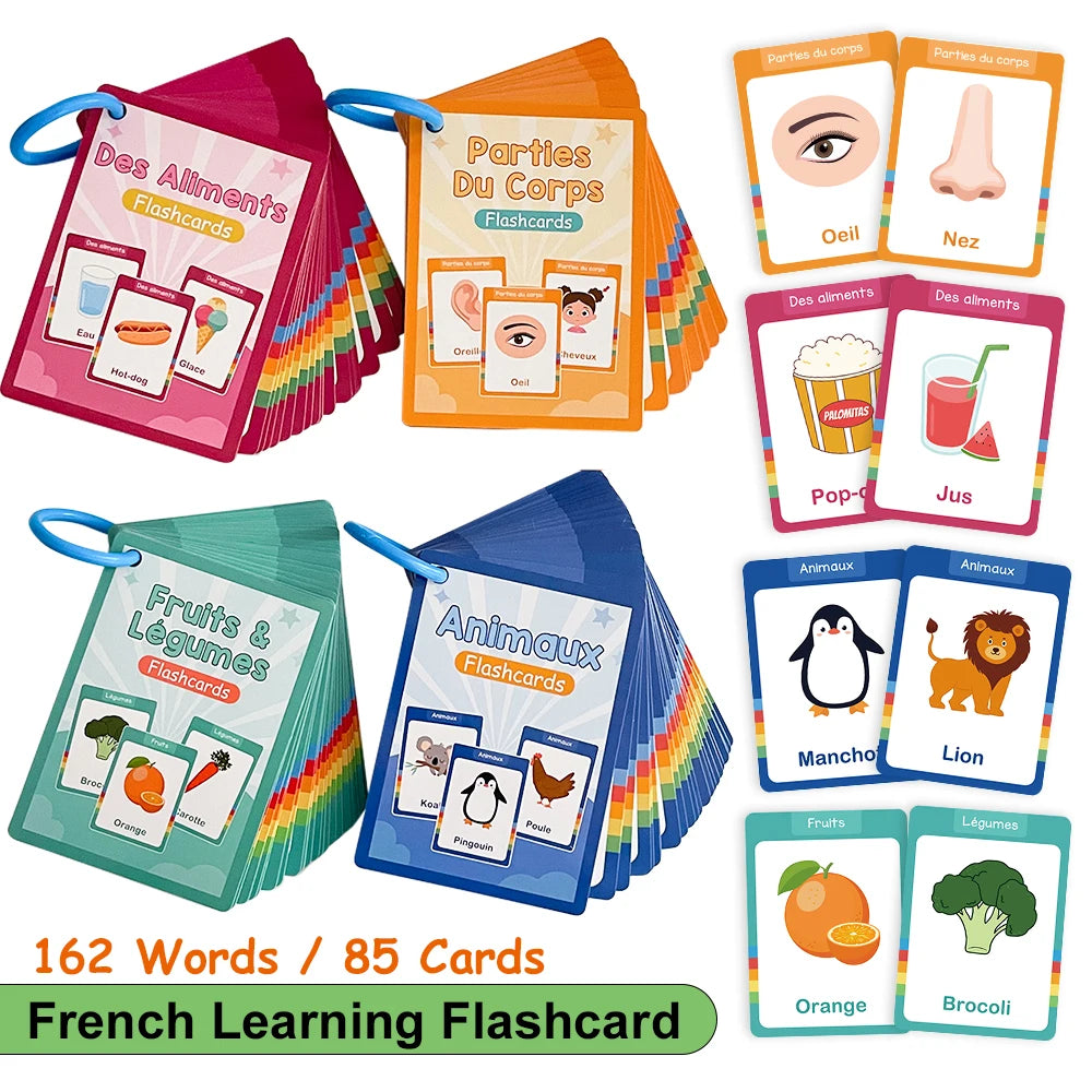French Vocabulary Flashcards for Kids - Food, Animals, Fruits & Body Parts