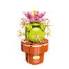 DIY Succulent Plant Building Block Bouquet