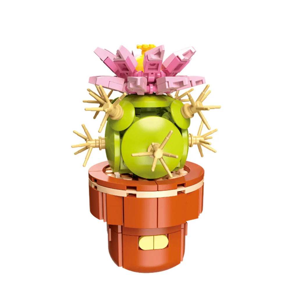 DIY Succulent Plant Building Block Bouquet