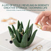 Ceramic Aloe Vera Jewelry Organizer with Ring Holder