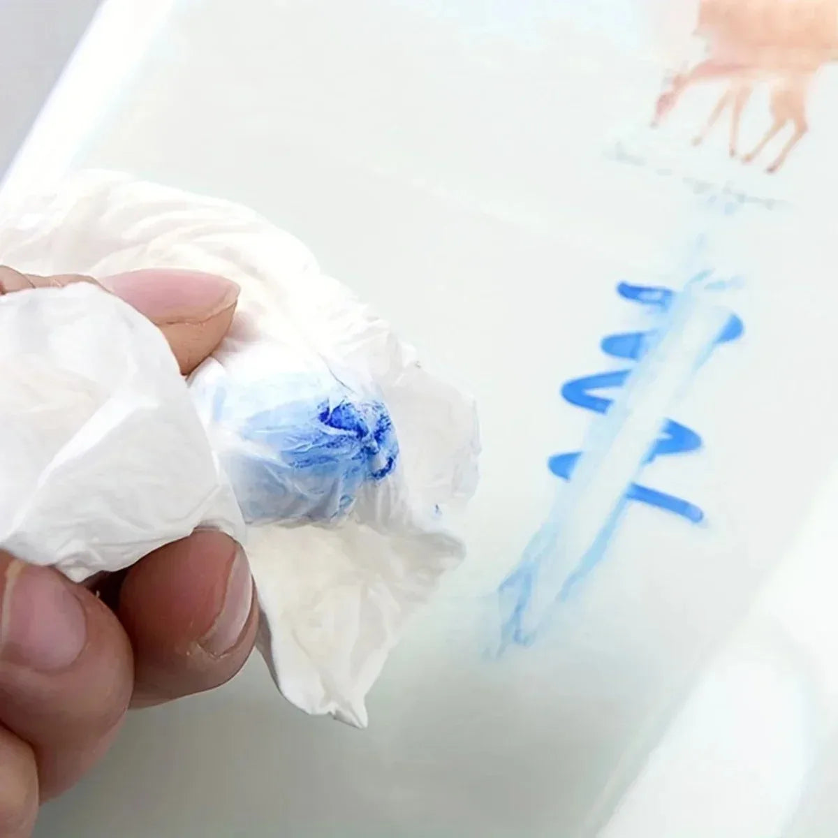 Transparent Reusable Book Covers for Textbooks & Notebooks