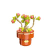 DIY Succulent Plant Building Block Bouquet