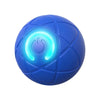 Interactive Auto-Rolling Dog Toy Ball
