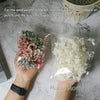 Preserved Hydrangea Flower Heads for Crafts and Home Decor