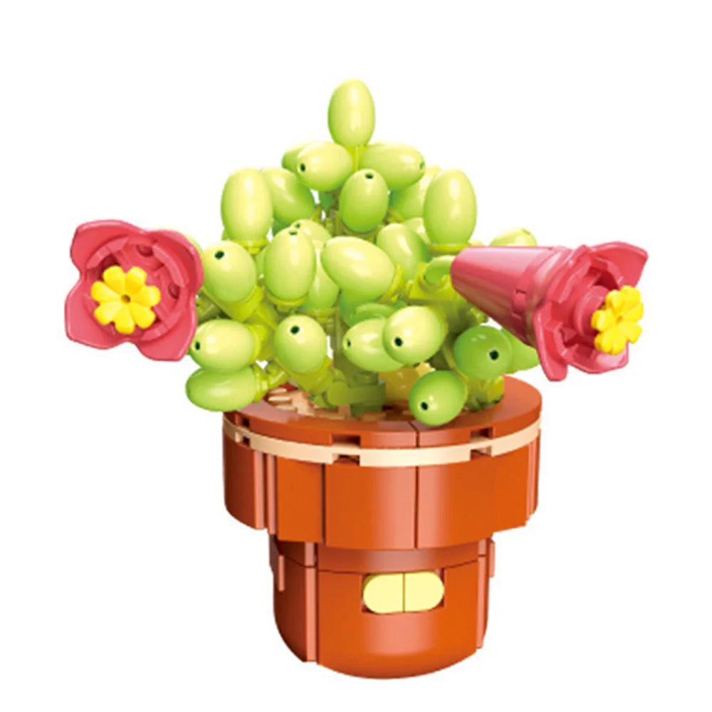 DIY Succulent Plant Building Block Bouquet