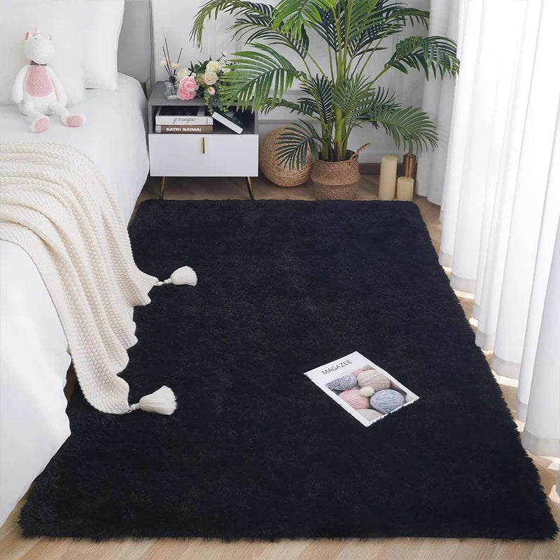 Plush Shaggy Area Rug for Living Room & Bedroom