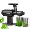 Cold Press Slow Masticating Juicer