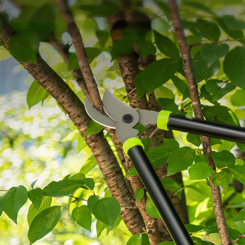 Heavy-Duty Pruning Shears Set for Gardening