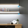 A modern desk setup featuring a wooden shelf with illuminated LED cabinet lights and a potted plant.