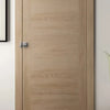 Heavy-Duty Rotating Metal Door Lock