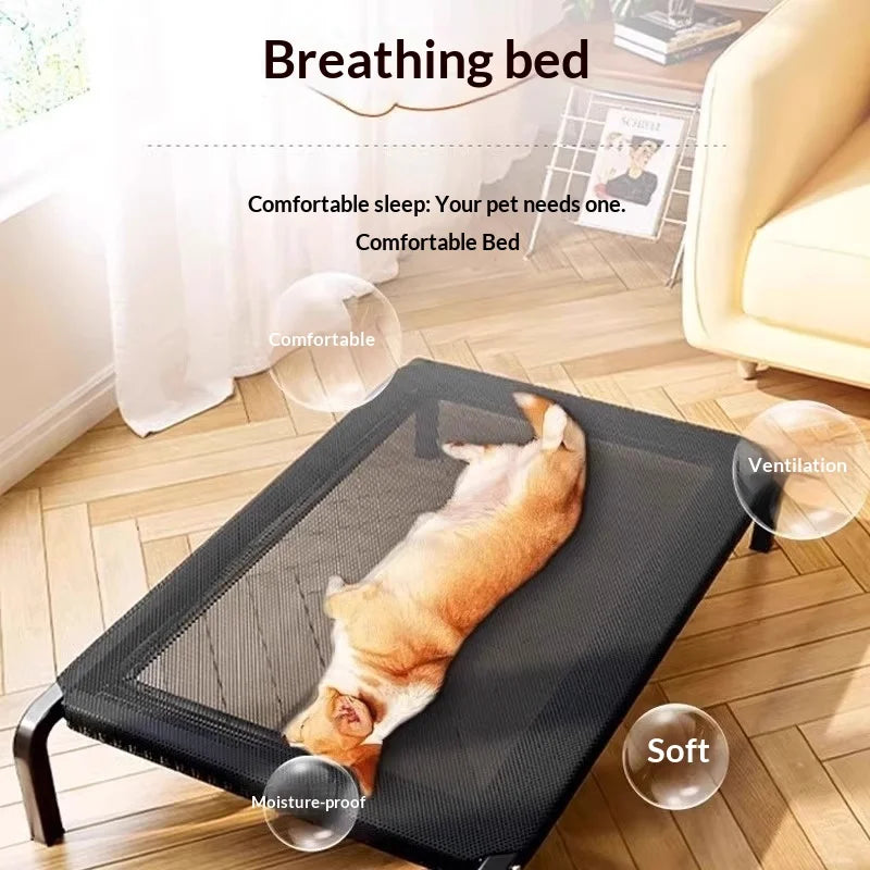 Cama Elevada para Perros - Impermeable y Resistente a Mordeduras para Todas las Estaciones