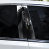 A close-up reflection of a black horse's head in a car window.