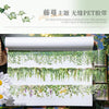Rolls of green vine pattern PET tape for journaling and crafts displayed on a wooden surface.
