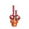 DIY Succulent Plant Building Block Bouquet