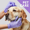 A person wearing purple nitrile gloves gently examines a dog's face.