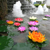 Colorful lotus flowers float on water amidst a cascade of water and green lily pads.