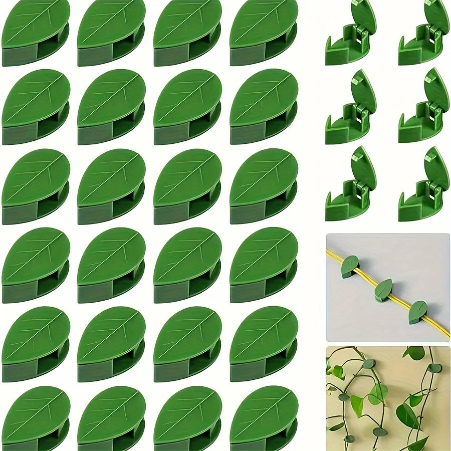 Green invisible plant wall clips used to secure climbing vines.