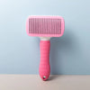 Self-Cleaning Pet Grooming Brush