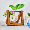 Tabletop Glass Planter Propagation Station with Wooden Rack