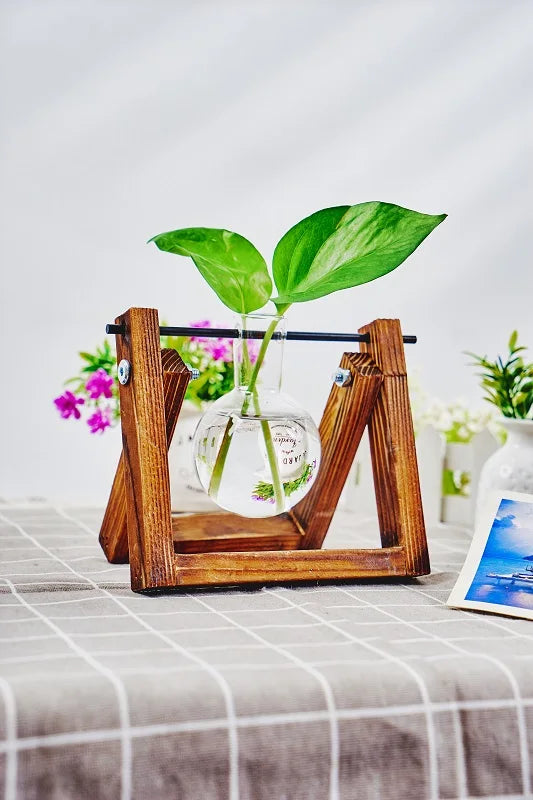 Tabletop Glass Planter Propagation Station with Wooden Rack