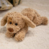 Curly Teddy Dog Plush Pillow – Soft Cuddly Stuffed Animal