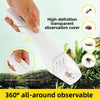 A hand holds a white, high-definition transparent observation cover for an insect catcher clamp, showing various insects.