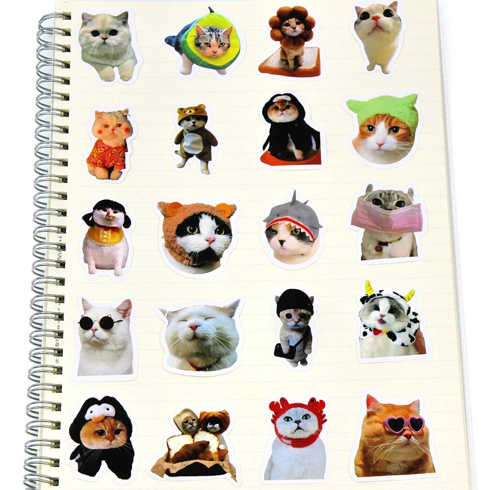 Funny Cat Sticker Pack for Laptops, Water Bottles & More