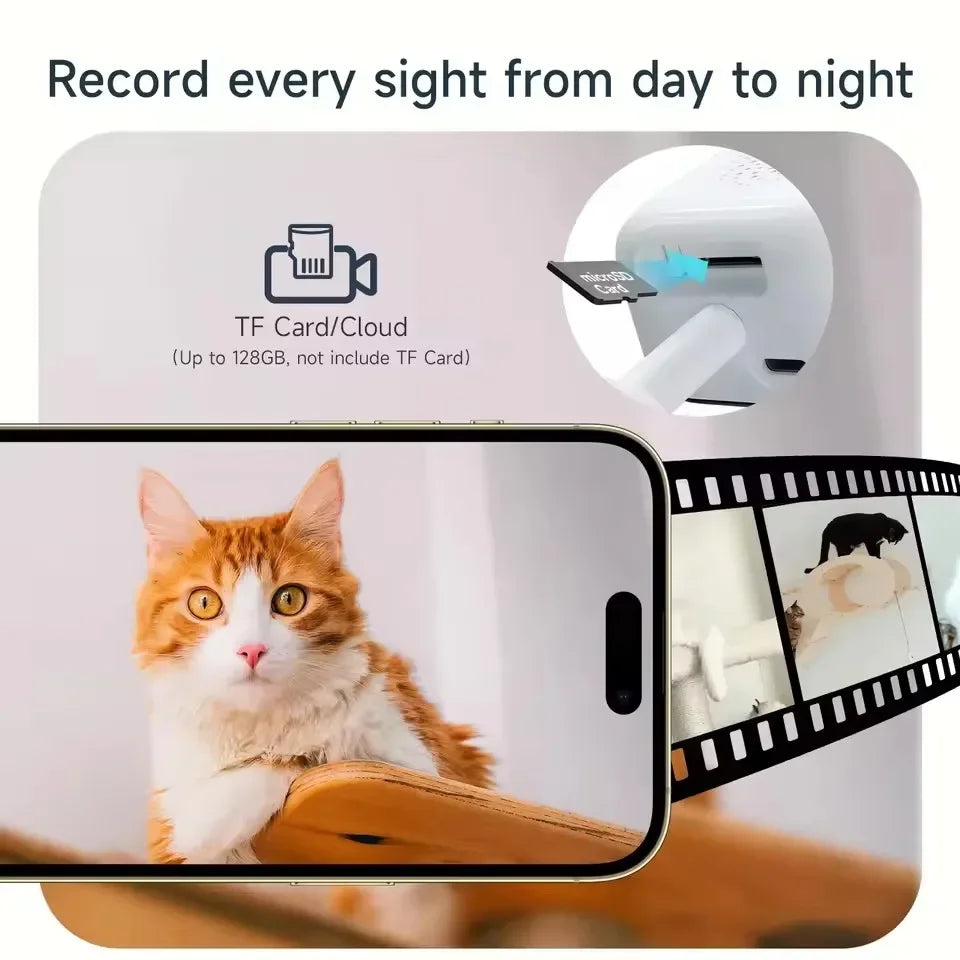 A close-up of a cat looking at a smartphone screen displaying live video from a window security camera.