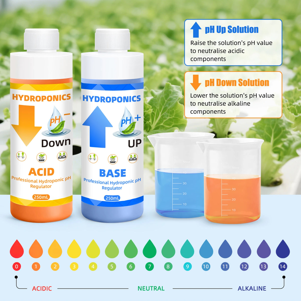 Hydroponic pH Up & Down Kit for Precise Nutrient Regulation