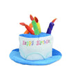 Novelty Birthday Cake Hat with Candle Accent