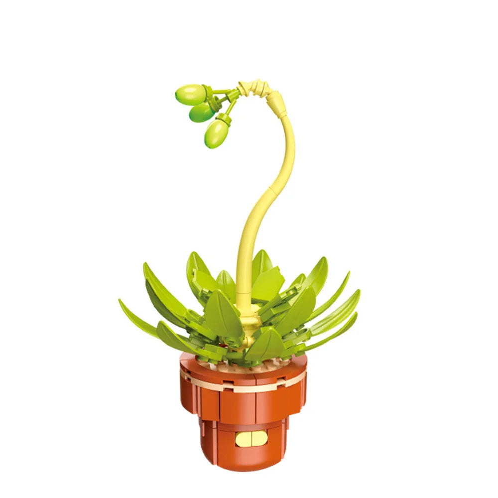 DIY Succulent Plant Building Block Bouquet