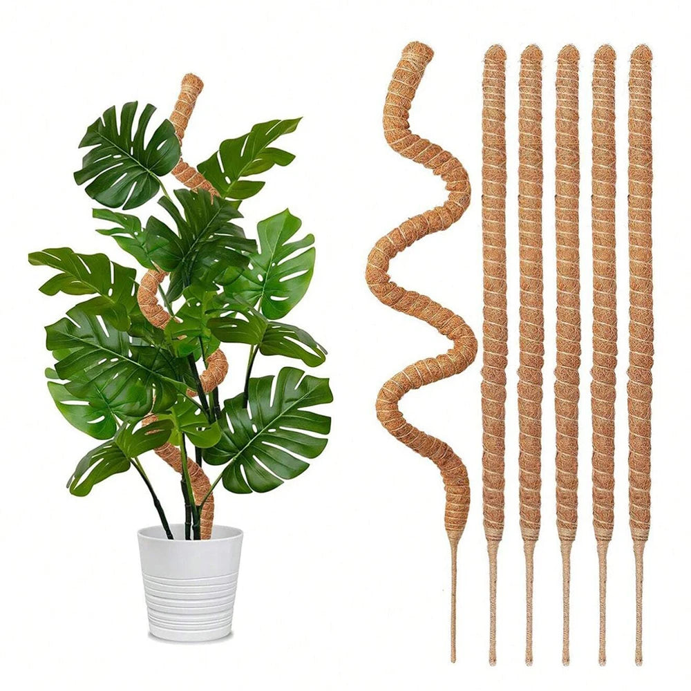 A set of natural coir moss poles used for climbing plants, shown next to a potted Monstera plant.
