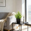Realistic Mini Eucalyptus Potted Plant with Black Pot