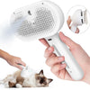 Brosse de toilettage rechargeable avec brumisation pour chiens et chats