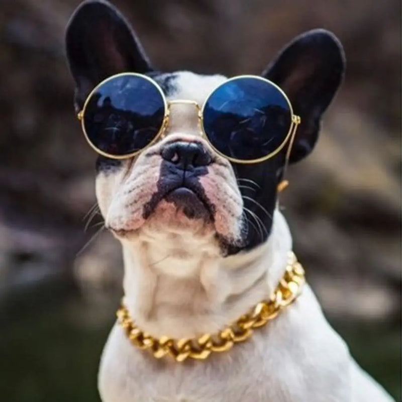 Collar de Cadena Ajustable para Mascotas