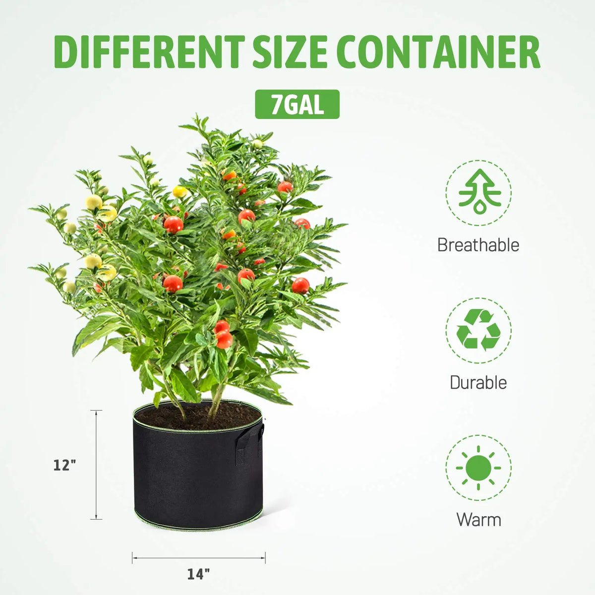 A 7-gallon plant in a black grow bag, showing its size and features like breathability, durability, and warmth.