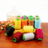 Premium Polyester Sewing Thread Spool - 300m, 24 Colors