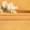 Waterproof Sofa Cover with Anti-Scratch Protection