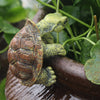 Vintage Climbing Turtle Garden Statue