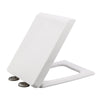Soft-Closing Toilet Seat with Anti-Bacterial Lid