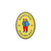 Cute Frog Enamel Pin with Sarcastic Quote