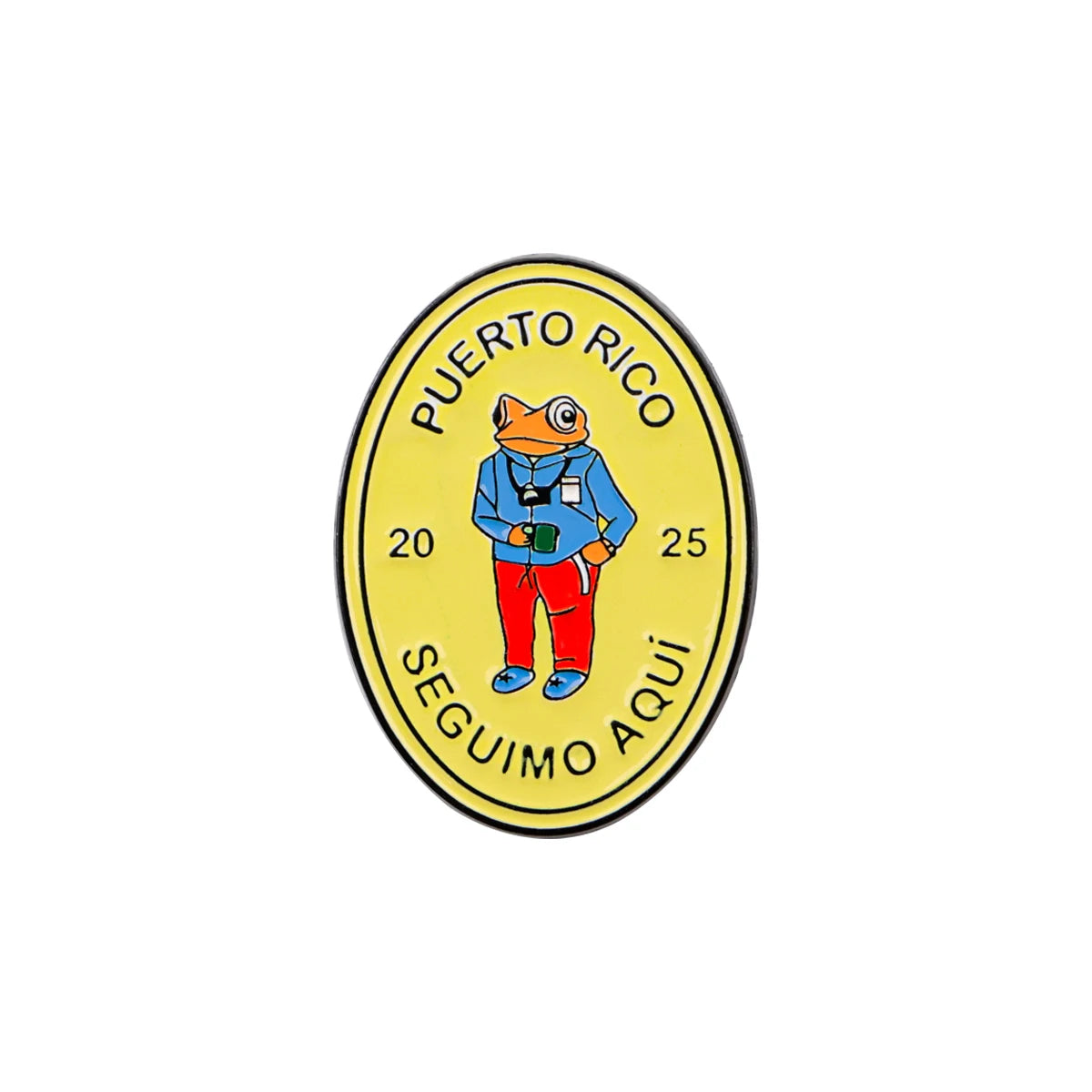 Cute Frog Enamel Pin with Sarcastic Quote