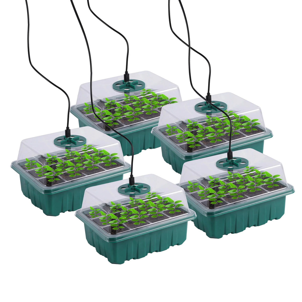 Seed Starter Tray with LED Grow Light and Humidity Dome