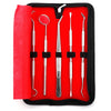 A black pouch containing a set of premium stainless steel dental care tools for oral hygiene.