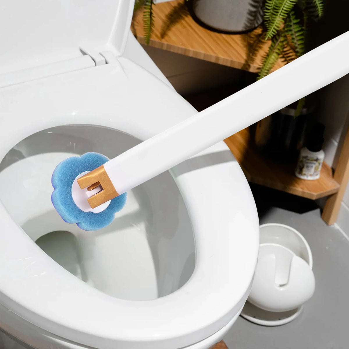 A white toilet with a white wall-mounted brush holder and blue cleaning brush visible inside the bowl.