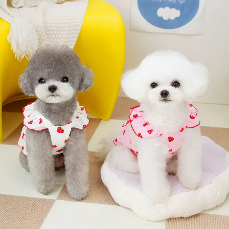 Strawberry Print Dog Dress