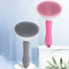 Brosse de toilettage auto-nettoyante en un clic pour animaux